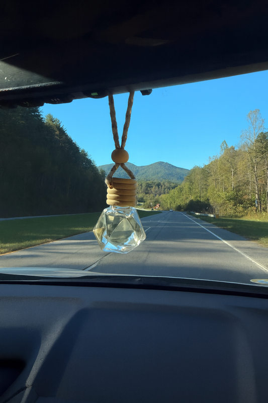 Hanging Car Diffuser